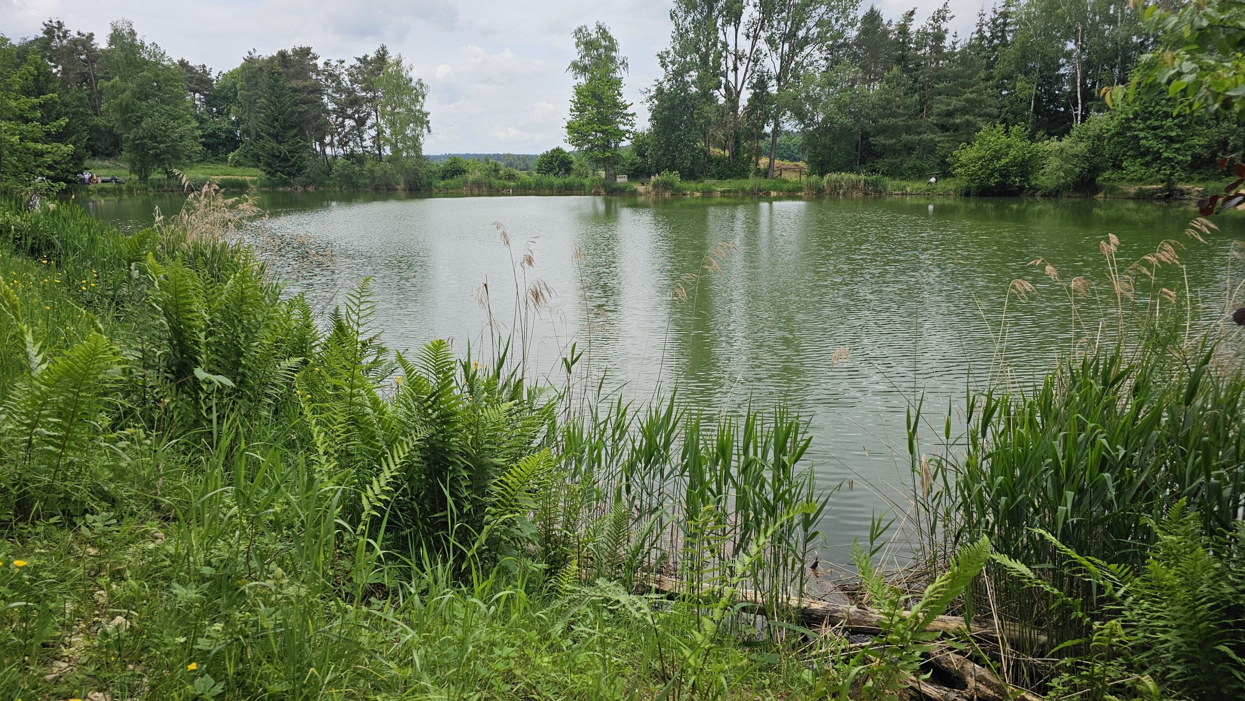 kfv-stoberweiher-2025-2