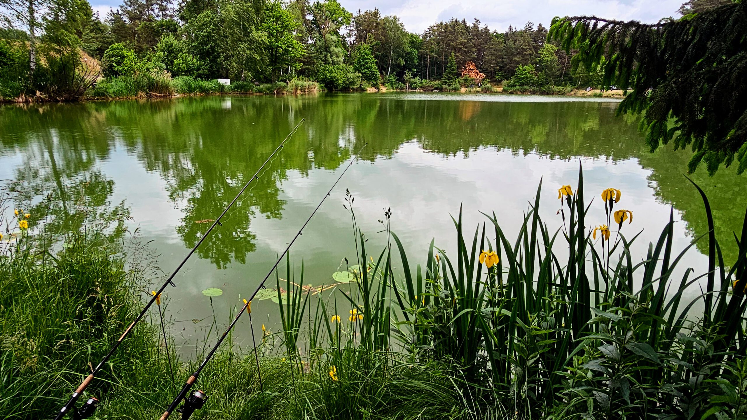 kfv-stoberweiher-2025